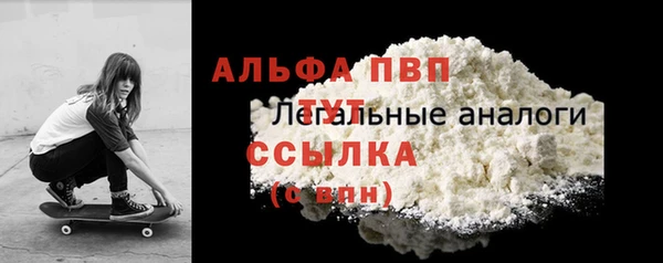 PSILOCYBIN Инта