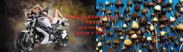 дурь Каменск-Шахтинский